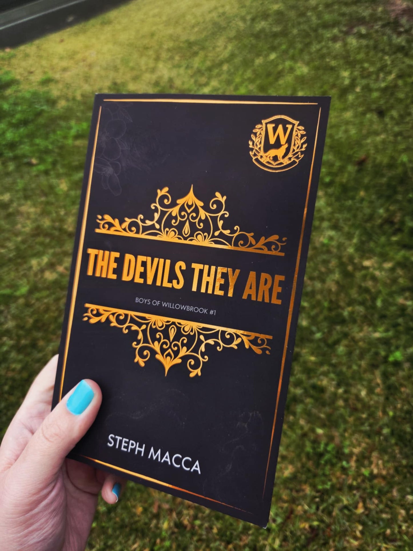 The Devils They Are (Boys of Willowbrook #1) - Foiled Paperback With Sprayed Edges - Discreet Cover